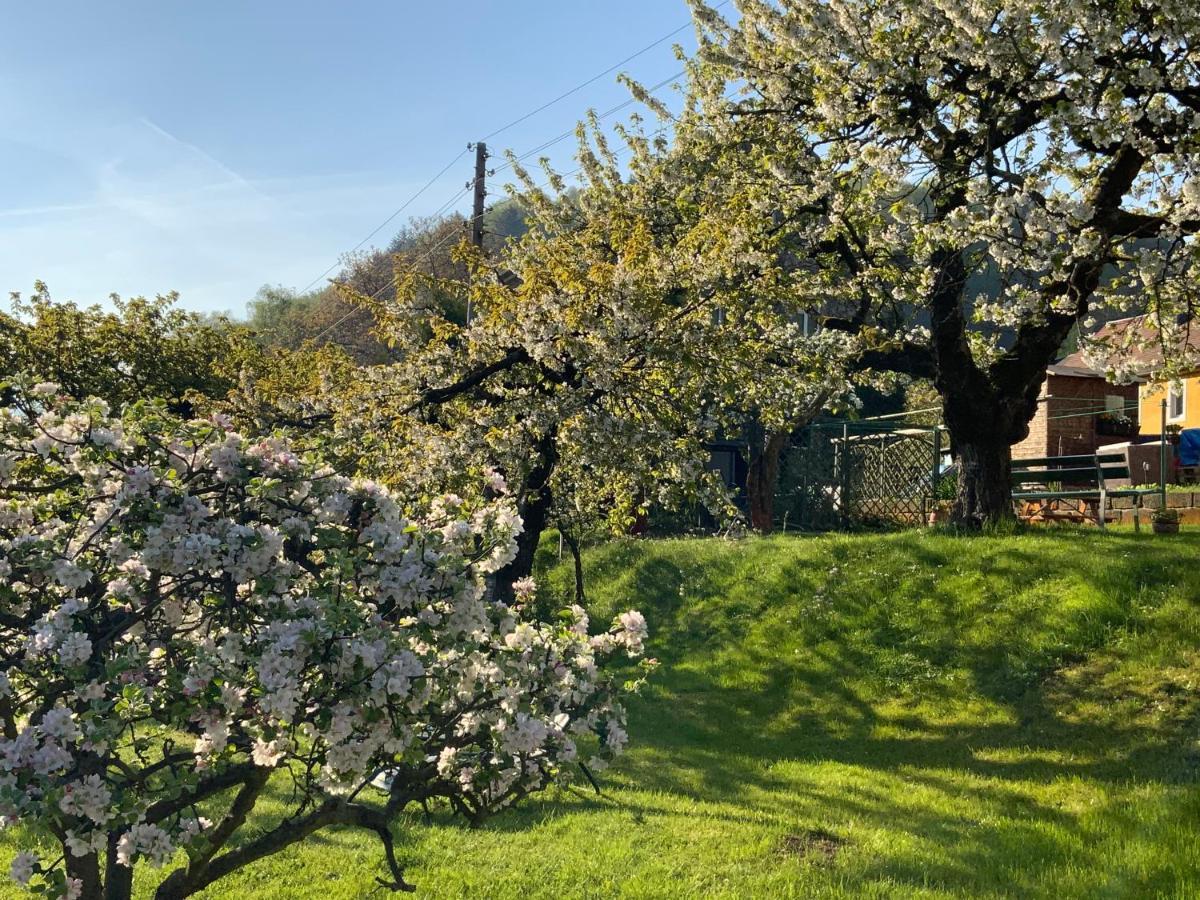 Pension Hoenel-Hof Bad Schandau Kültér fotó