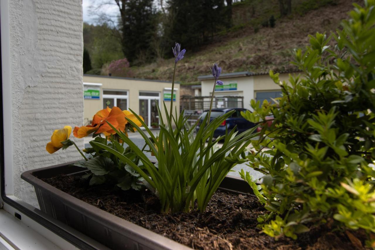 Pension Hoenel-Hof Bad Schandau Kültér fotó